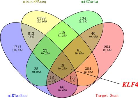 Aab Mir P Regulates The Differentiation Of Intramuscular