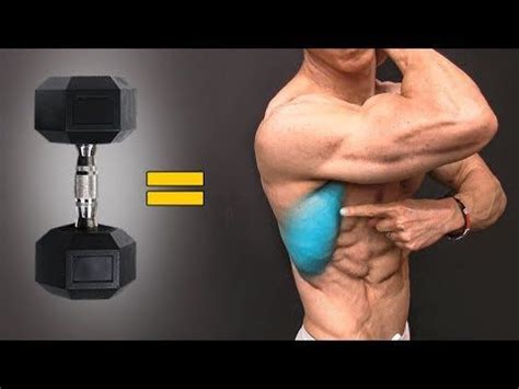 32 The BEST Dumbbell Exercises BACK EDITION YouTube With Images