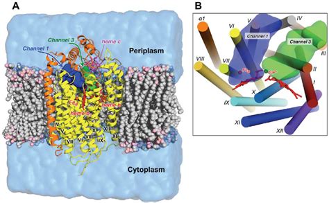 A A Setup Of A Molecular Dynamics Simulation A Simulation System