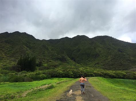 Hiking Lulumahu Falls in Oahu, Hawaii - Living in Hawaii