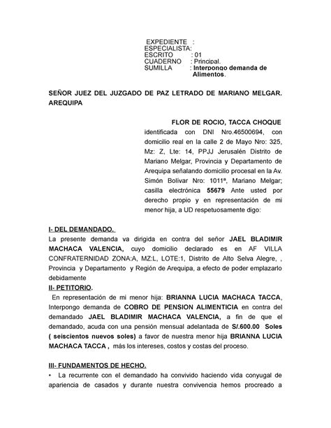 Dda Alimen Flor De Rocio 1 Expediente Especialista Escrito 01