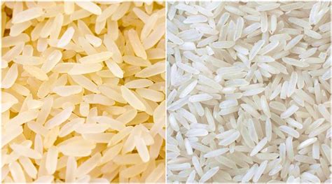 fear  plastic rice real      identify