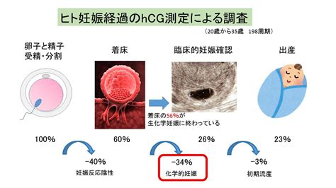 超極初期流産？ よくあるご質問徐クリニック