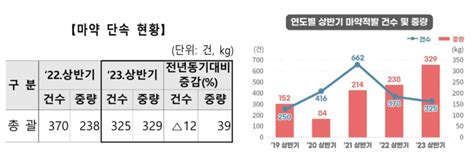 마약 밀수 사상 최대관세청 올해 상반기 325건·329kg 적발