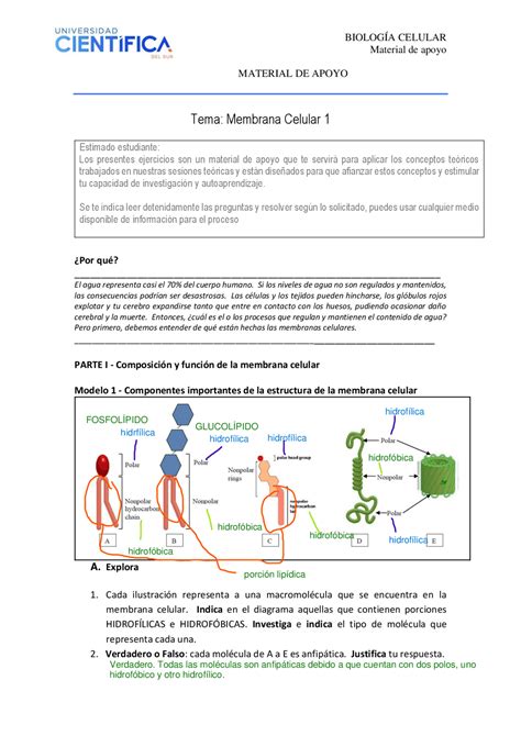 Membrana Celular 1 Ejercicios Desarrollados Ejercicios De Biología Celular Docsity