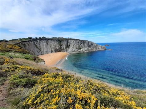 Cantabria Convoca Ayudas Por Euros Para La Limpieza De Playas