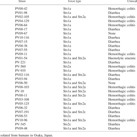 Isolation Of Shiga Toxin Producing Escherichia Coli O157 Strains From