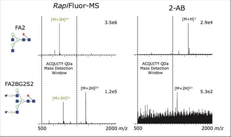 New Capabilities For Monitoring Released N Glycans Through The Combined