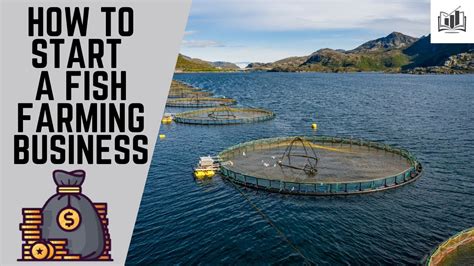 How To Start A Fish Farming Business Starting A Fish Farming Business