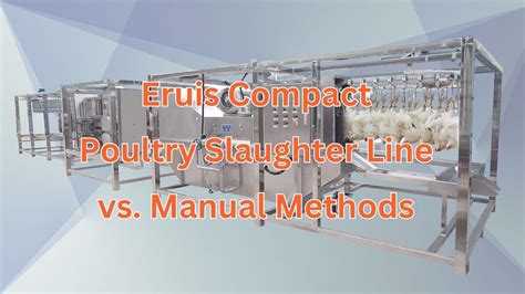 Revolutionizing Poultry Slaughtering Efficiency Eruis Compact Poultry