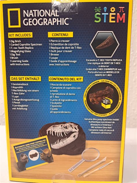 National Geographic Dino Fossils- Dig Kit - Fossils Galore Gift Shop