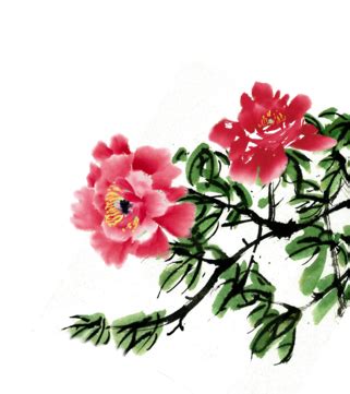 Beautiful Peony Ink Painting Bloom Flowers PNG Transparent Clipart