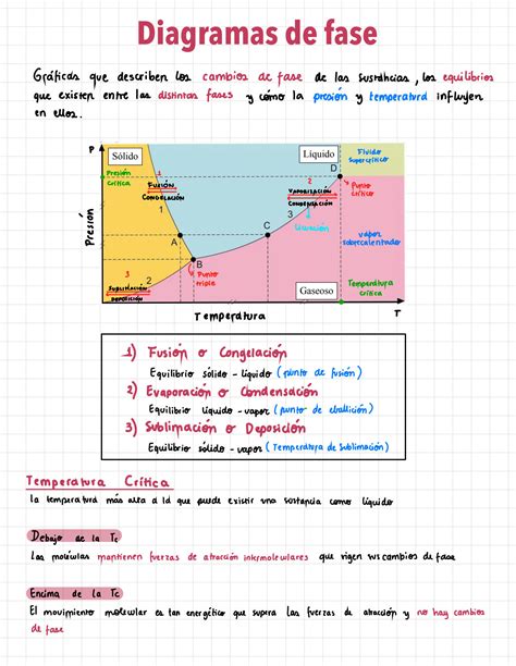 SOLUTION Diagramas De Fase Y Cambios De Fase Studypool