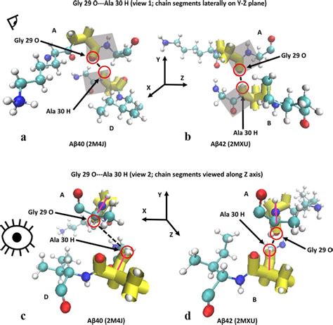 A D Molecule Representations Of Peptide Plane Alignment For Aβ 40