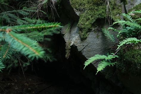 Dolina Carsica Scoperta In Una Foresta Di Alberi Secolari Enkey Magazine