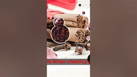 Health Benefits For Your Body When You Chew Cloves Daily Benefits Of Clove Oil For Sex Youtube