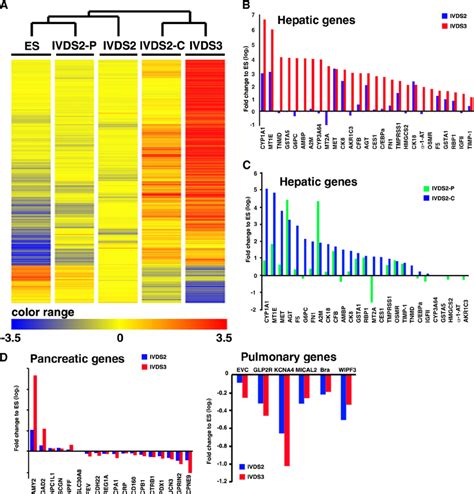 Microarray Analysis Of The Spatial And Temporal Global Gene Expression Download Scientific