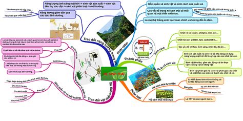 Hướng dẫn chi tiết Sơ đồ tư duy bài 40 sinh học 12 Cho học sinh phổ thông