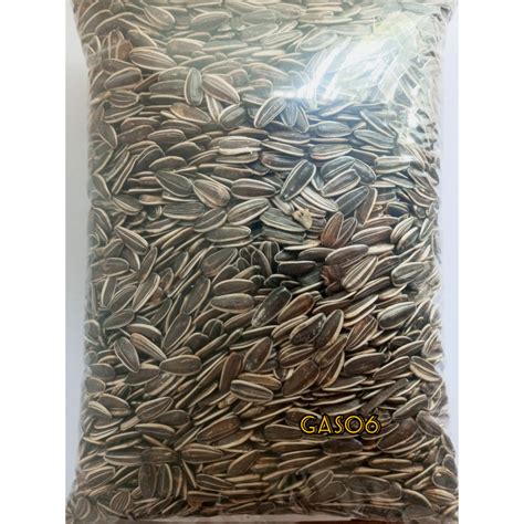 Jual 500 GRAM KWACI SANGRAI OVEN KUACI BIJI BUNGA MATAHARI PAKAN