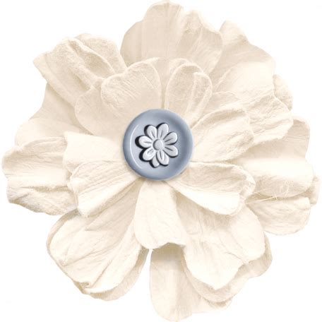 Buttermilk Element White Flower Graphic By Jessica Dunn