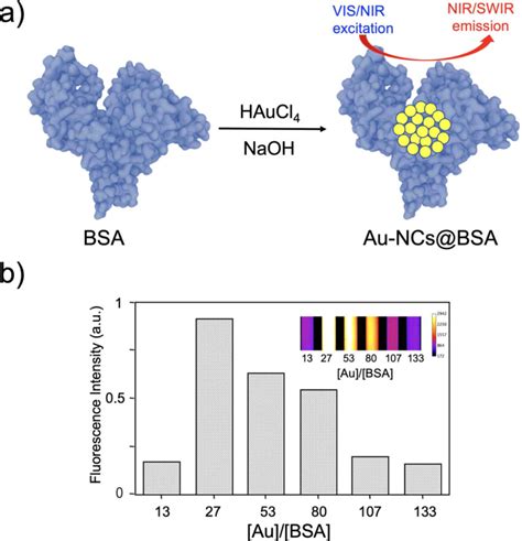 A Schematic Scheme For The Formation Of Au Ncs In A Bsa Molecule