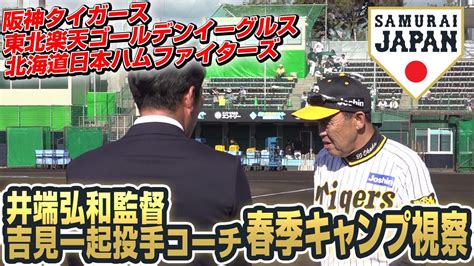 井端弘和監督春季キャンプ視察 2024年2月2日（阪神タイガース、東北楽天ゴールデンイーグルス、北海道日本ハムファイターズ） Youtube