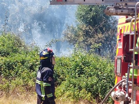 Onemi Actualiza Situaci N De Incendios Forestales