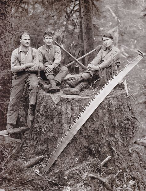 Amazing Vintage Photographs Document Logging And Lumber Activities In