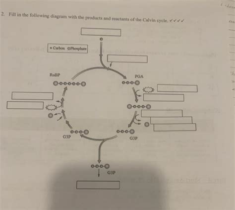 Solved Fill In The Following Diagram With The Products Chegg