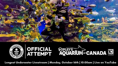 Ripley S Aquarium Of Canada Longest Underwater Livestream Guinness