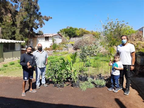 Comunicaciones UA Donan Plantas A Junta De Vecinos Playa Blanca