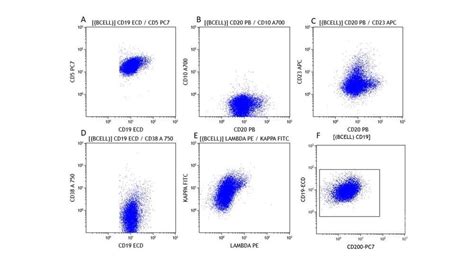 Flow Cytometry Of The Lymph Node Biopsy