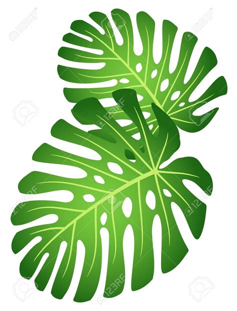 clipart rainforest leaves - Clip Art Library