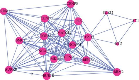 Construction Of Coexpression Network And Hub Gene Screening A The