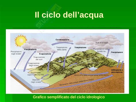 Ecologia Cicli Biogeochimici