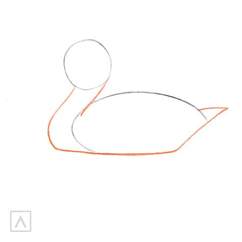 Easy 9-Step Duck Drawing That You Will Like | ARTEZA