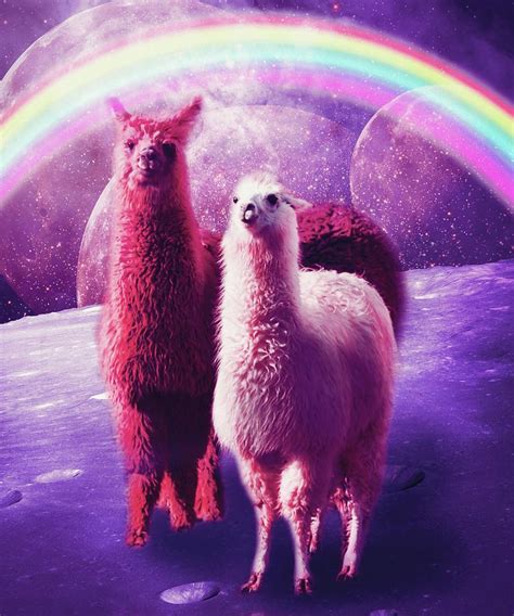 Crazy Funny Rainbow Llama In Space Digital Art by Random Gal - EroFound