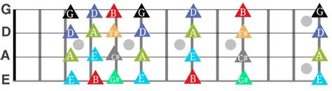 Bass Guitar Harmonics All You Need To Know Online Bass Courses