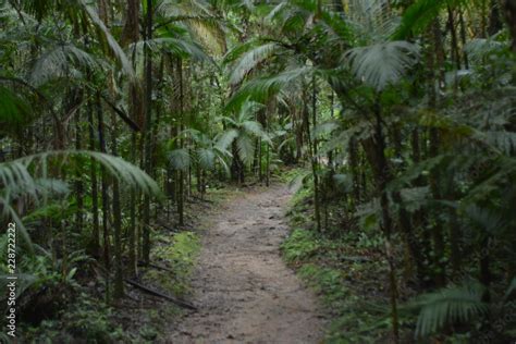 A Natureza Em Suas Diversas Formas Entre Cachoeiras Cavernas E Meio