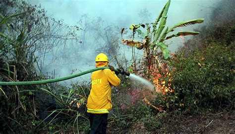 Alerta Roja Por Incendios Forestales En Municipios De La Regi N Caribe