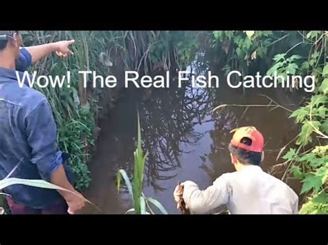 ពកគតធវអហនង Amazing fishing How to make an easy fish trap A