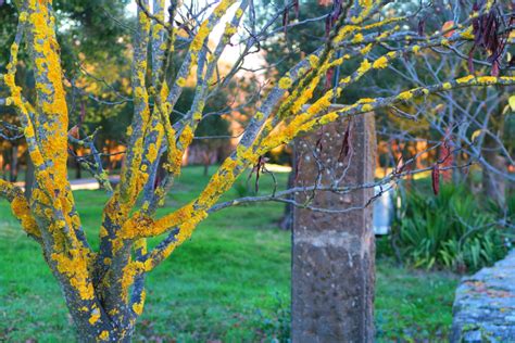 Colores de otoño Confederación Española de Fotografía