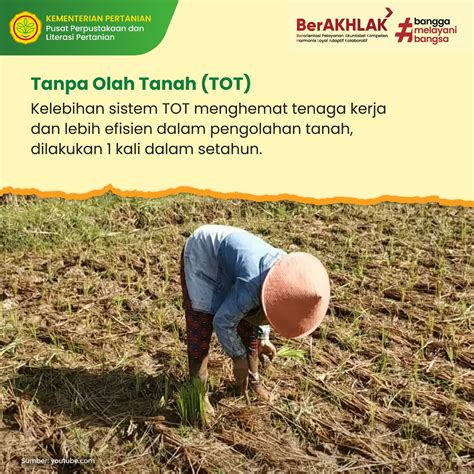 Info Teknologi Rekomendasi Budi Daya Padi Di Sawah Tadah Hujan Seri