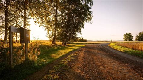 Nature Dirt Road Path Bamboo Forest Hd Wallpaper Rare Gallery