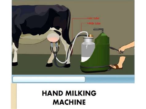 Practical Unit 12 Clean Milk Production And Milking Methodspptx