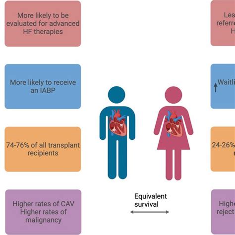 Sex Differences Across The Spectrum Of Heart Failure And Download