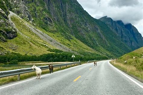 Sogndal To Geiranger The Most Spectacular Drive In The World Two