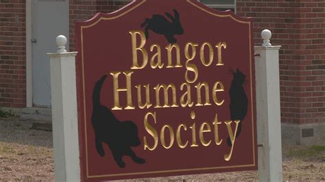 Bangor Humane Society closed for construction | newscentermaine.com