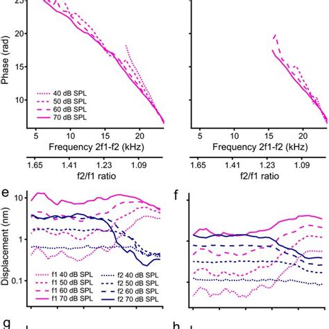 Magnitude Spectra Of Reticular Lamina Rl And Basilar Membrane Bm