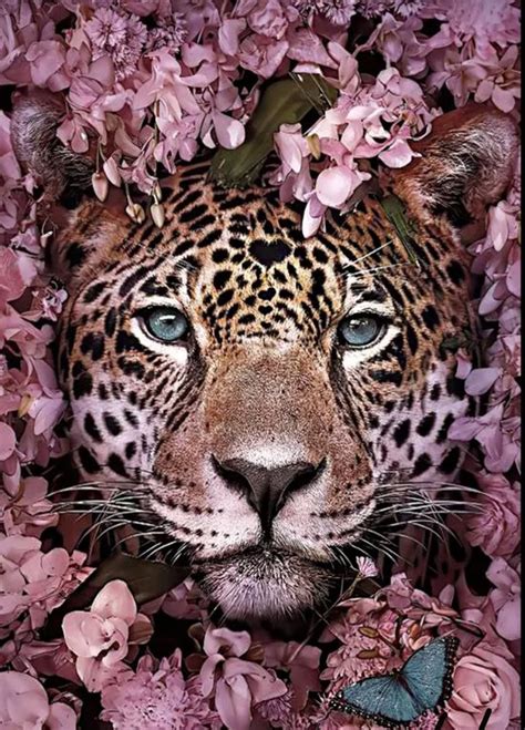 Diamond Painting Panter Omringd Met Bloemen 45 X 30 Ronde Steentjes